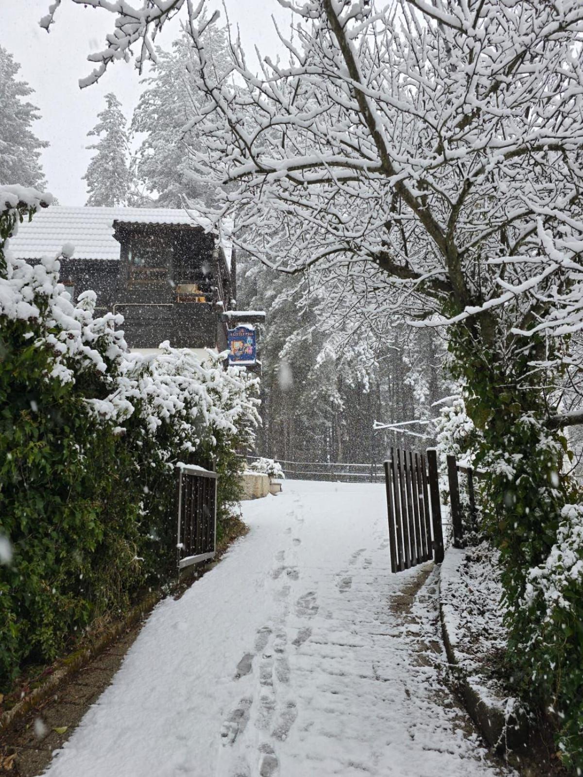 Chalet Natura La Taverna Dei 3 Porcellini Cavaliere  Dış mekan fotoğraf